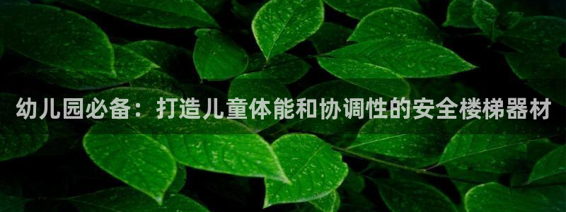 富联丰地产怎么样：幼儿园必备：打造儿童体能和协调性的