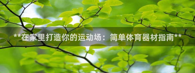 富联食品：**在家里打造你的运动场：简单体育器材指南