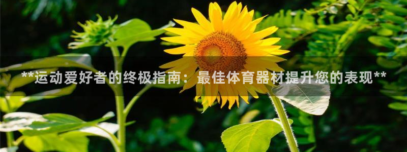 富联娱乐丁6.7.5.1.3.8：**运动爱好者的终