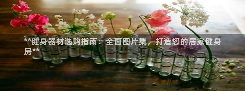 富联通讯招聘：**健身器材选购指南：全面图片集，打造