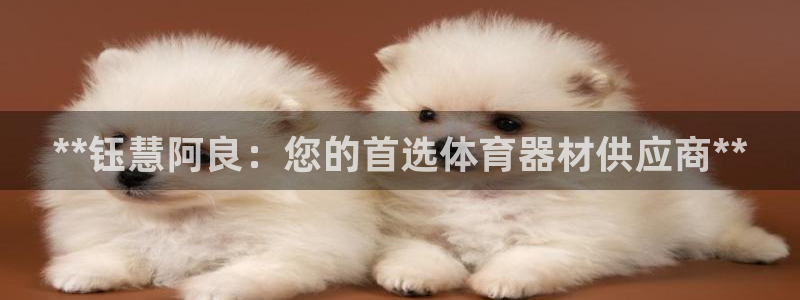富联申购什么时间上市：**钰慧阿良：您的首选体育器材