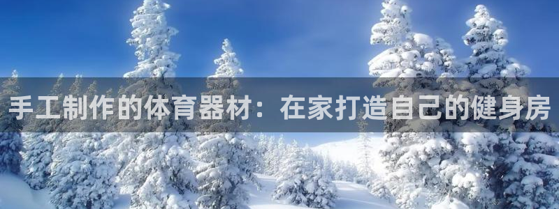 富联什么意思：手工制作的体育器材：在家打造自己的健身