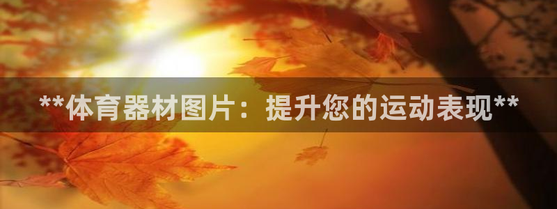 共富联盟店是不是真的：**体育器材图片：提升您的运动