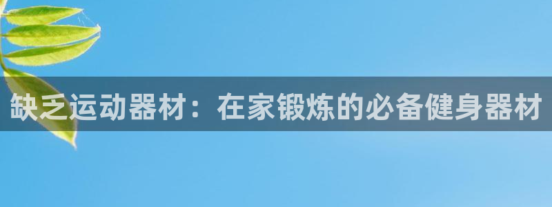 富联申购中签什么时候知道：缺乏运动器材：在家锻炼的必