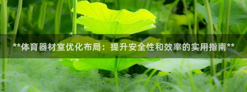 富联娱乐代理怎么做：**体育器材室优化布局：提升安全