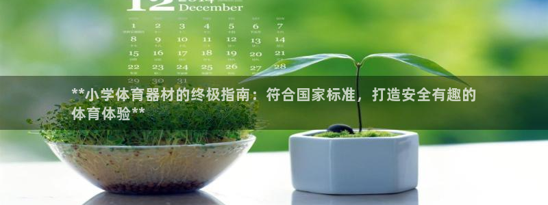 富联平台开户：**小学体育器材的终极指南：符合国家标