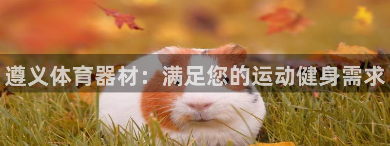 富联官网授权店铺查询：遵义体育器材：满足您的运动健身