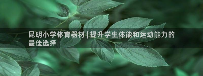 富联平台总代理电话：昆明小学体育器材 | 提升学生体