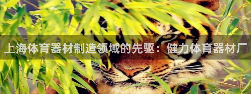 富联集团最新消息今天：上海体育器材制造领域的先驱：健