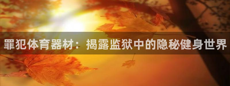 富联平台可以 5O6917：罪犯体育器材：揭露监狱中