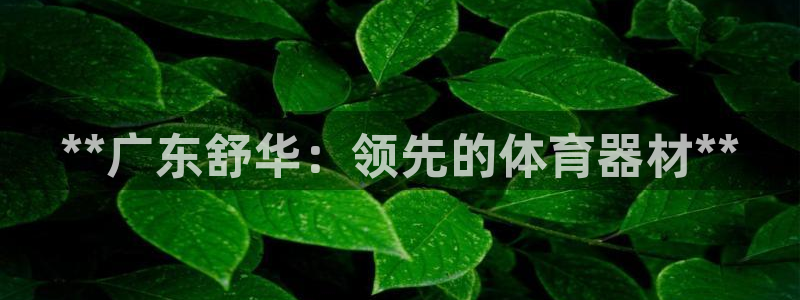 富联娱乐登录注册入口官网网址是多少：**广东舒华：领