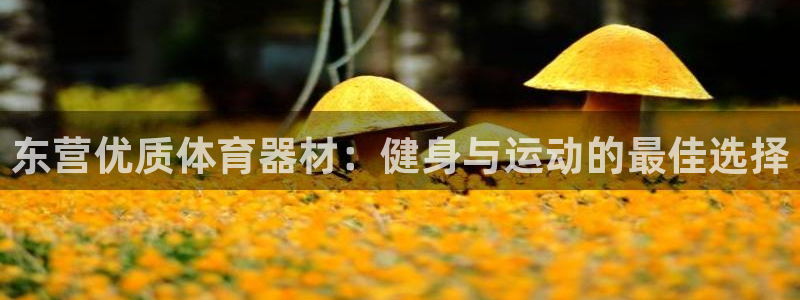 富联建工：东营优质体育器材：健身与运动的最佳选择