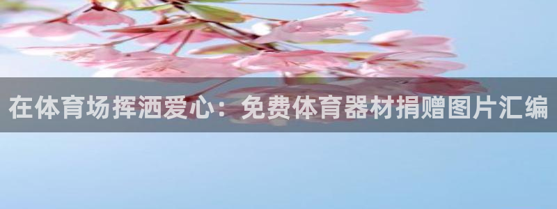 富联官方网站入口查询：在体育场挥洒爱心：免费体育器材