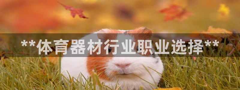富联娱乐待 411o31 娱乐：**体育器材行业职业