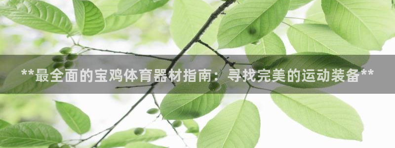 富联平台地址查询：**最全面的宝鸡体育器材指南：寻找