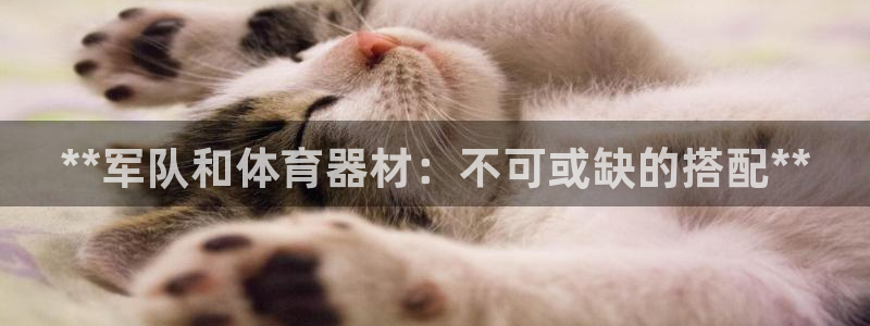 富联娱乐下载：**军队和体育器材：不可或缺的搭配**