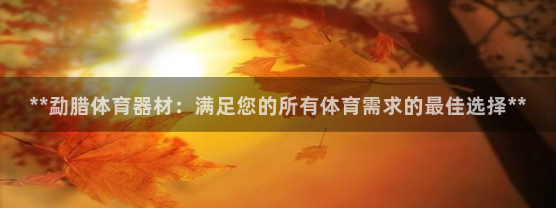 富联官方网站入口网址查询：**勐腊体育器材：满足您的