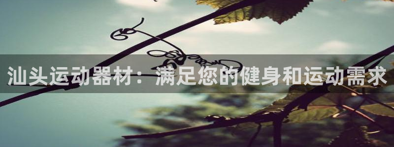富联娱乐服务站电话：汕头运动器材：满足您的健身和运动