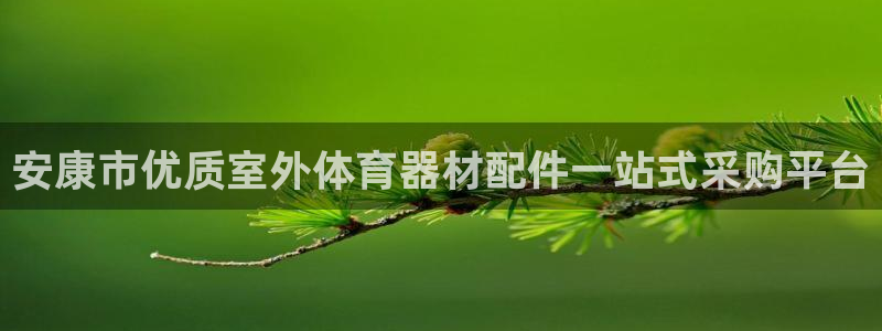 富联申购可以赚多少钱：安康市优质室外体育器材配件一站