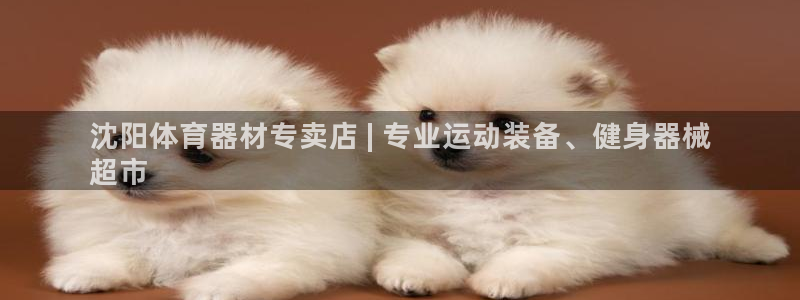富联娱乐老板：沈阳体育器材专卖店 | 专业运动装备、