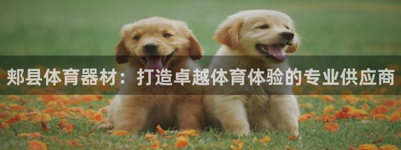 富联官网注册不了账号：郏县体育器材：打造卓越体育体验