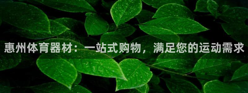 富联平台注册登录：惠州体育器材：一站式购物，满足您的