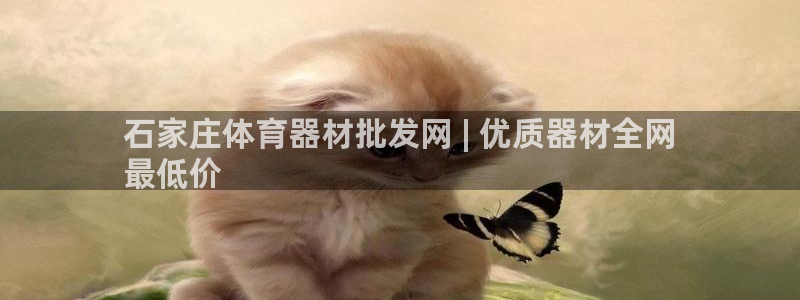 富联平台注册地址是哪里：石家庄体育器材批发网 | 优