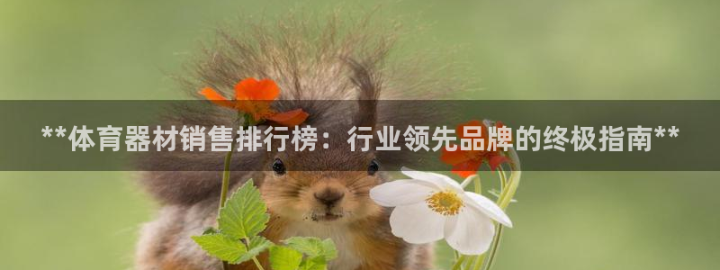 富联图文：**体育器材销售排行榜：行业领先品牌的终极