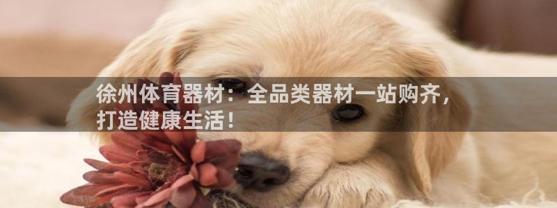 富联包装电话是多少：徐州体育器材：全品类器材一站购齐，
打造