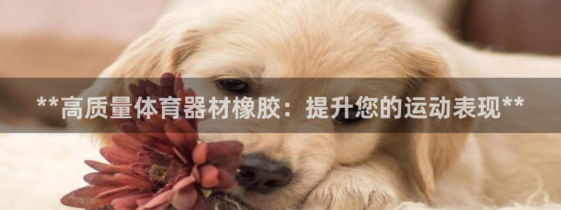 富联娱乐平台开户条件有哪些：**高质量体育器材橡胶：