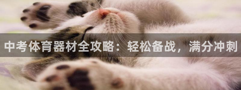 富联娱乐登录注册不了：中考体育器材全攻略：轻松备战，