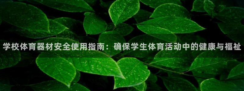 富联展示中心：学校体育器材安全使用指南：确保学生体育活动中的