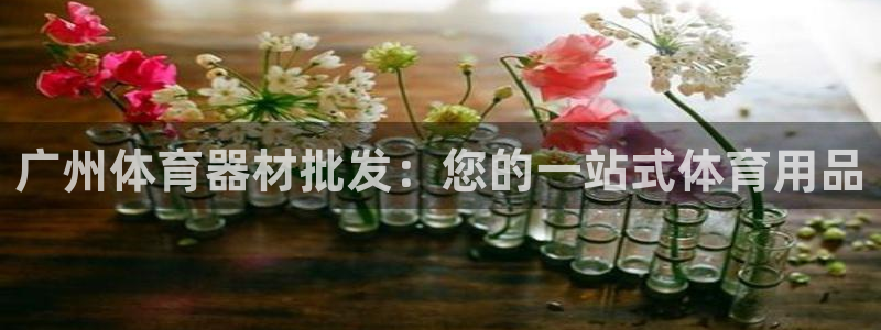 富联官方网站入口查询电话：广州体育器材批发：您的一站