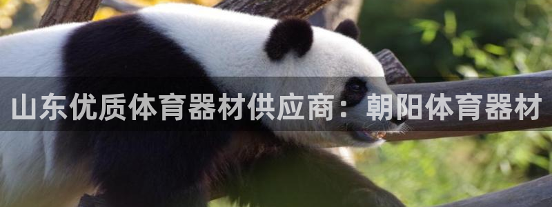 富联娱乐代理怎么做的：山东优质体育器材供应商：朝阳体