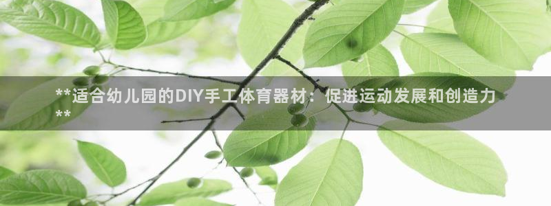 富联娱乐心 5o69I7：**适合幼儿园的DIY手工