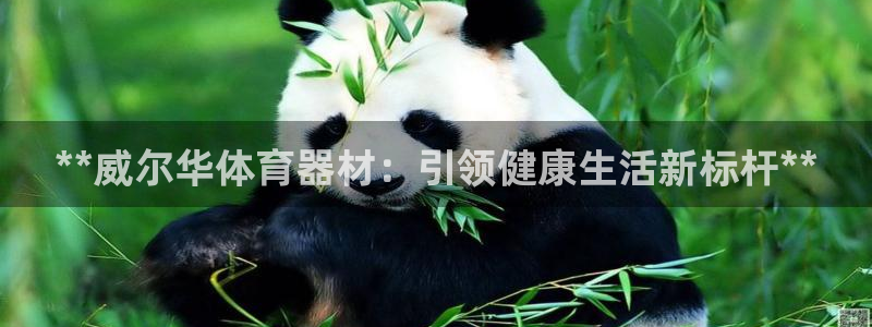 富联公寓：**威尔华体育器材：引领健康生活新标杆**