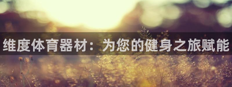 富联娱乐会员：维度体育器材：为您的健身之旅赋能