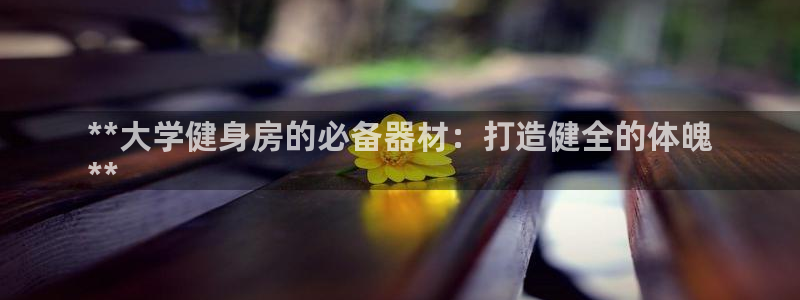 富联平台节7O777：**大学健身房的必备器材：打造