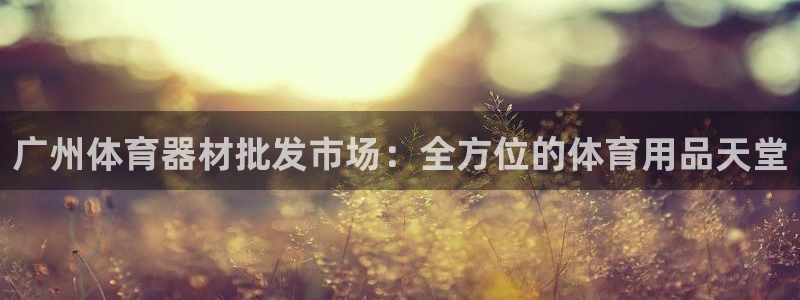 富联包装电话是多少：广州体育器材批发市场：全方位的体