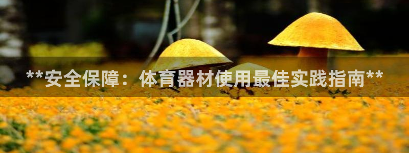 富联平台用户登陆不上：**安全保障：体育器材使用最佳