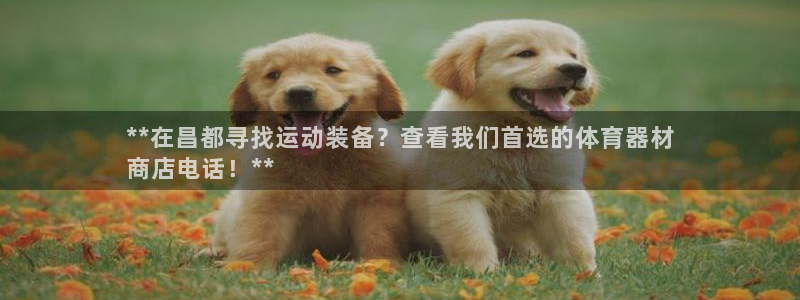 富联娱乐客服微信公众号：**在昌都寻找运动装备？查看