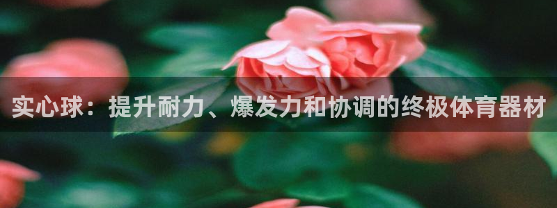 富联平台挂机赚钱：实心球：提升耐力、爆发力和协调的终
