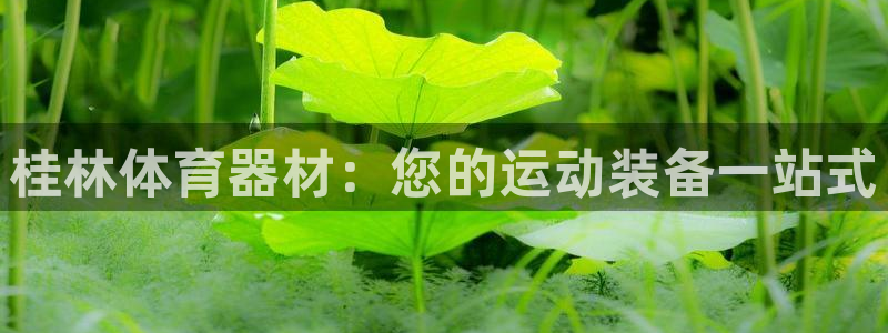富联平台登录注册：桂林体育器材：您的运动装备一站式