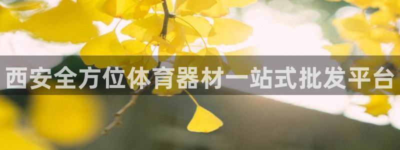 富联官网登录：西安全方位体育器材一站式批发平台
