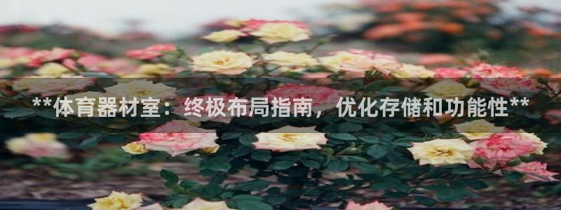 富联申购什么时间上市：**体育器材室：终极布局指南，
