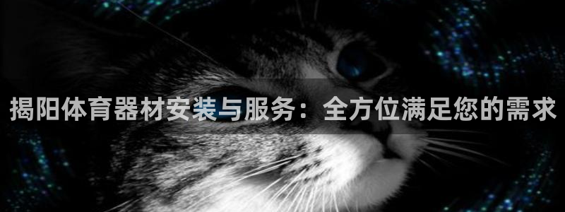 富联平台注册登录入口：揭阳体育器材安装与服务：全方位