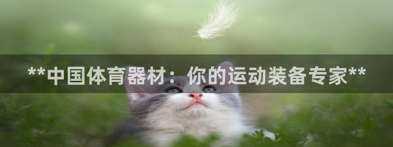 富联申购什么时候开盘：**中国体育器材：你的运动装备