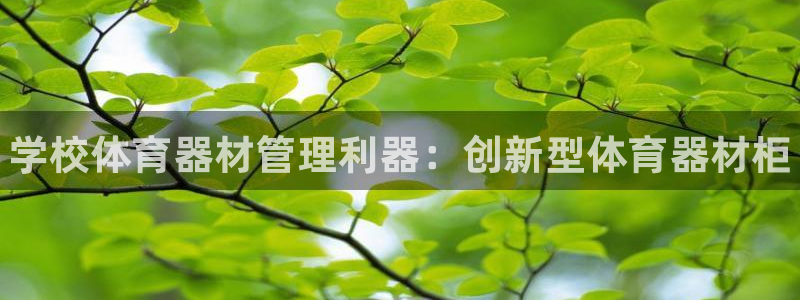 富联平台招商电话：学校体育器材管理利器：创新型体育器材柜