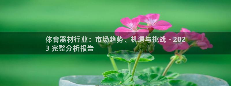 富联平台搜索 585.34I 平台：体育器材行业：市场趋势、