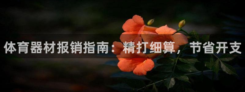 富联娱乐负责人是谁：体育器材报销指南：精打细算，节省开支